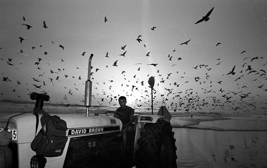autor: João Varela