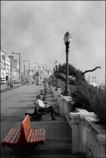 autor: paulo rodrigues
t&iacute;tulo: The Red Bench