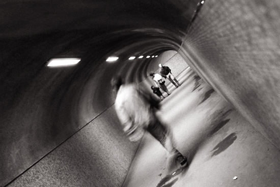 autor: José Gonçalves
t&iacute;tulo: Entrada