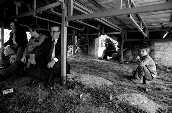 auteur: nelson d