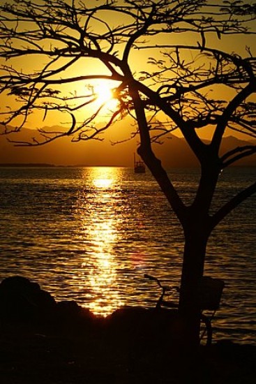 autor: paulo rodrigues
t&iacute;tulo: Golden Sunset...