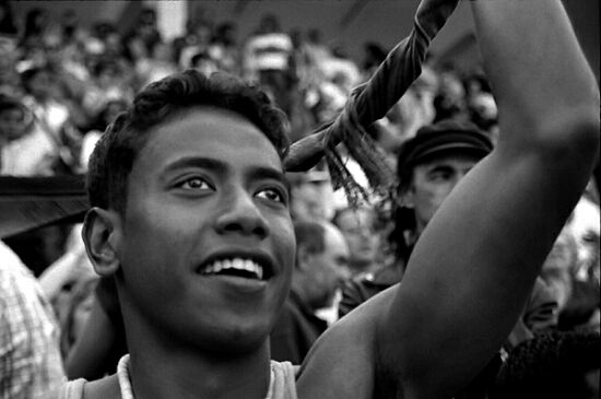 autor: Sofia Quintas