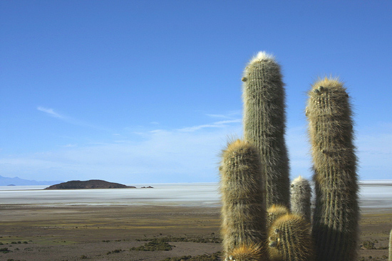 autor: paulo rodrigues
t&iacute;tulo: Salar de Uyuni, Bolivia