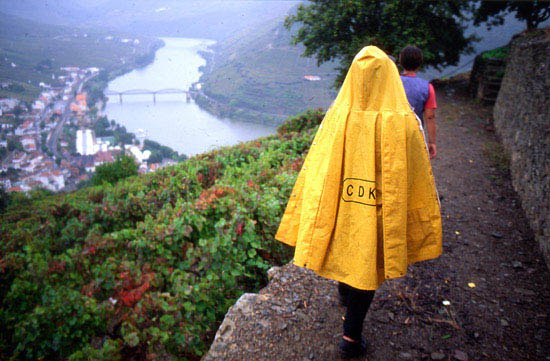 autor: José Gonçalves
t&iacute;tulo: Douro 14