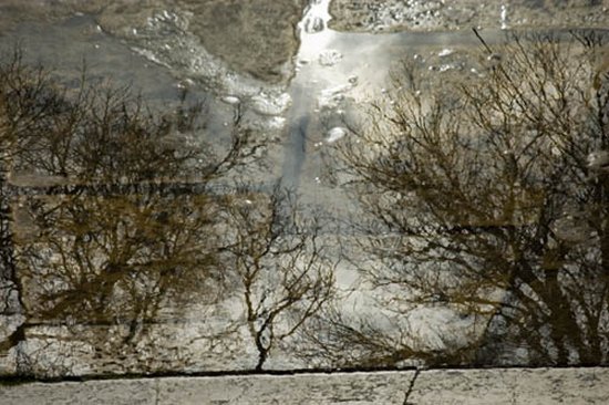autor: paulo rodrigues
t&iacute;tulo: REFLEXO INVERNAL