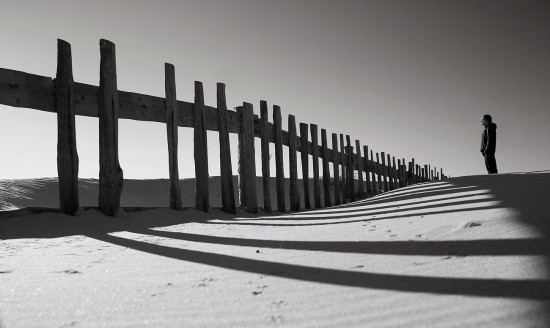 autor: paulo rodrigues
t&iacute;tulo: Shadows