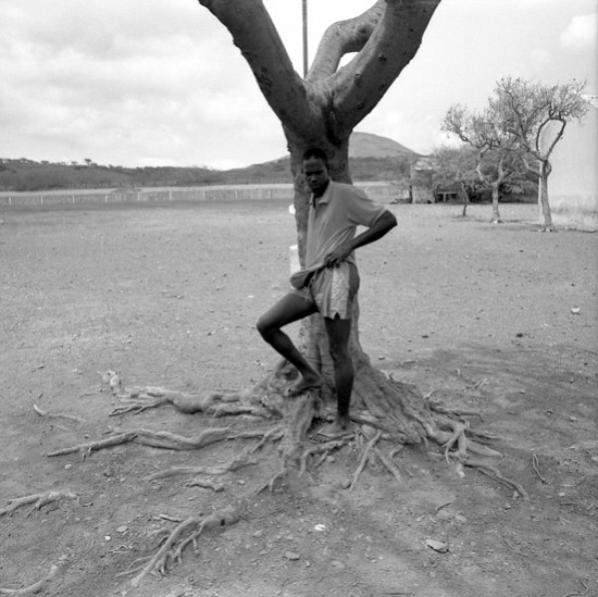 autor: Pedro Loureiro