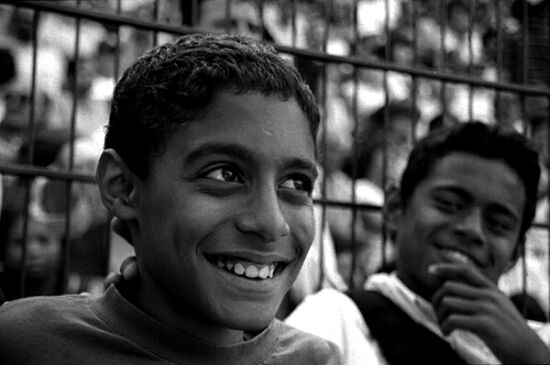 autor: Sofia Quintas