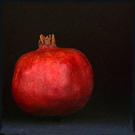 autor: paulo rodrigues
t&iacute;tulo: Pomegranate