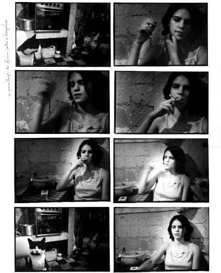 auteur : Raquel Moura                    