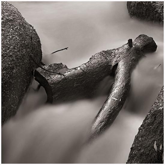 autor: Carlos Matos
t&iacute;tulo: Rio-Ocreza-05_VI