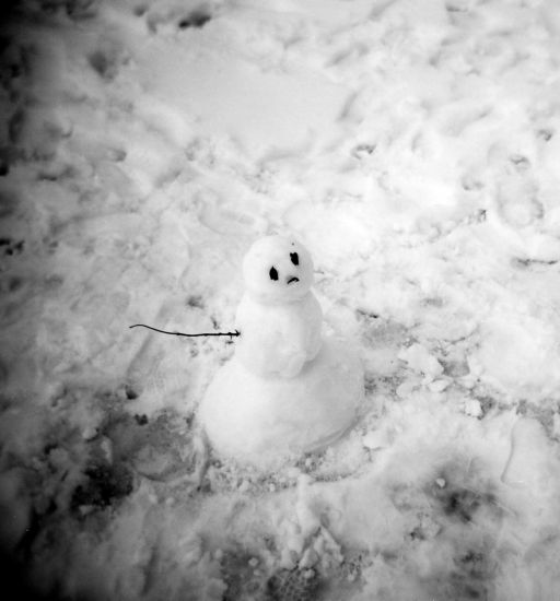 autor: paulo rodrigues
t&iacute;tulo: Snow Man