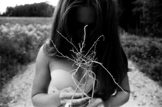 autor: Natasha Gudermane
t&iacute;tulo: Rootless