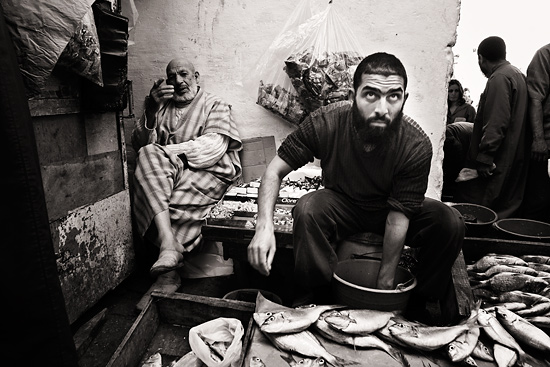 autor: paulo rodrigues
t&iacute;tulo: Seller of fish