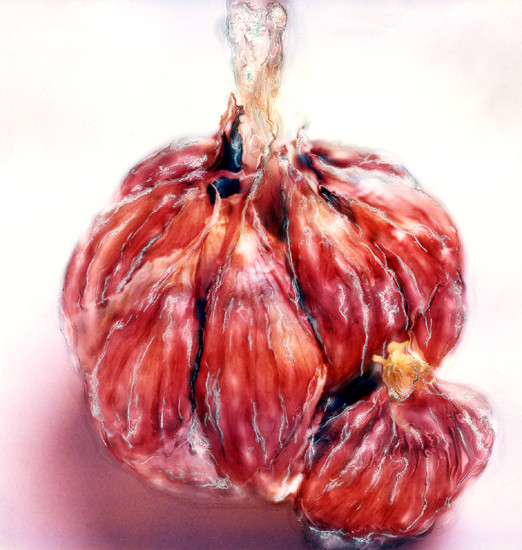 autor: paulo rodrigues
t&iacute;tulo: Garlic Head #2
