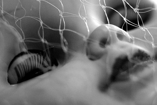 autor: Pedro Vilela