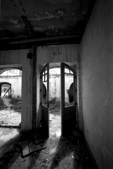 autor: paulo rodrigues
t&iacute;tulo: Clarity
