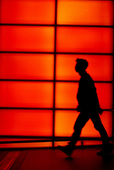 autor: paulo rodrigues
t&iacute;tulo: Silhouette