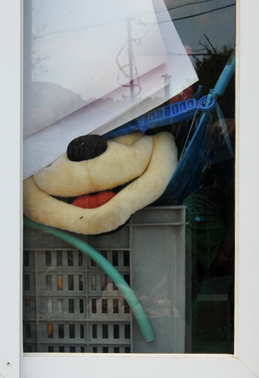 autor: paulo rodrigues
t&iacute;tulo: smile