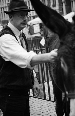 auteur : paulo rodrigues                    