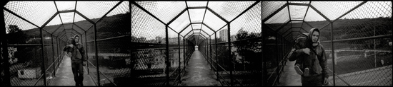 author : Paula Alves                    title: [ ... ]
