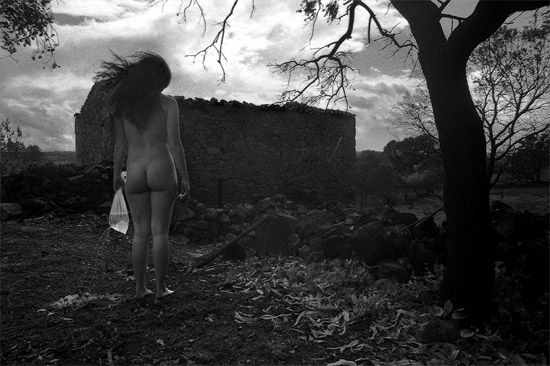 autor: nelson d