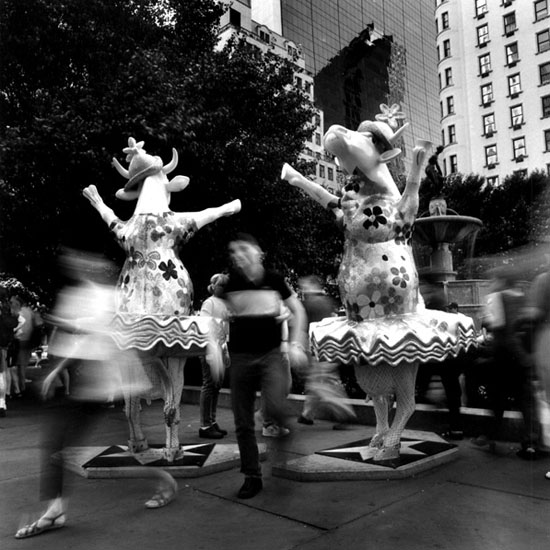 autor: Cláudio Edinger
t&iacute;tulo: Fifth Avenue
