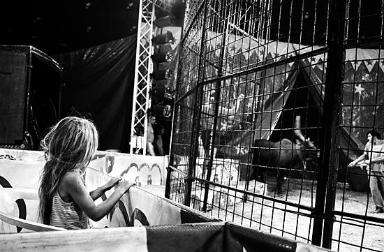 author: Sofia Quintas
