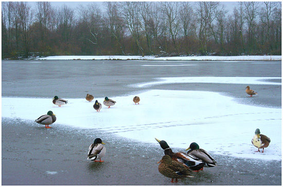 autor: paulo rodrigues
t&iacute;tulo: On thin Ice