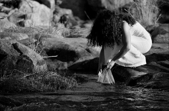 autor: nelson d