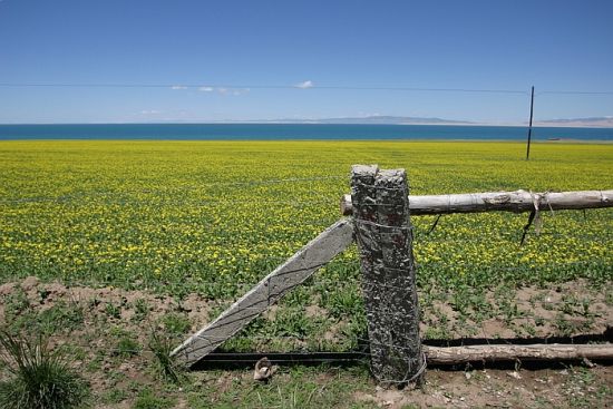 autor: paulo rodrigues
t&iacute;tulo: Qinghai Lake