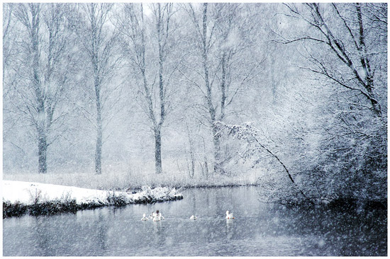 autor: paulo rodrigues
t&iacute;tulo: Winter