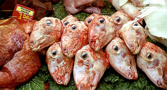 author: paulo rodrigues
title: Mercato sur les Ramblas à Barcelone