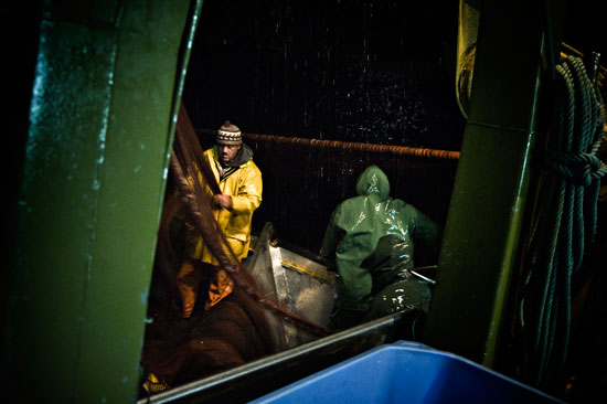 autor: paulo rodrigues
t&iacute;tulo: Noite de Pesca no "Corte Real"
