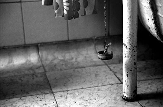 auteur : Sofia Quintas                    titre: #6