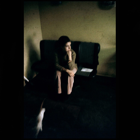 author: Raquel Moura
title: inês