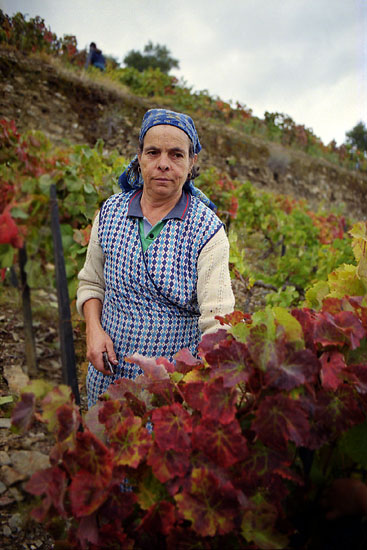 autor : José Gonçalves                    t&iacute;tulo: Douro 15