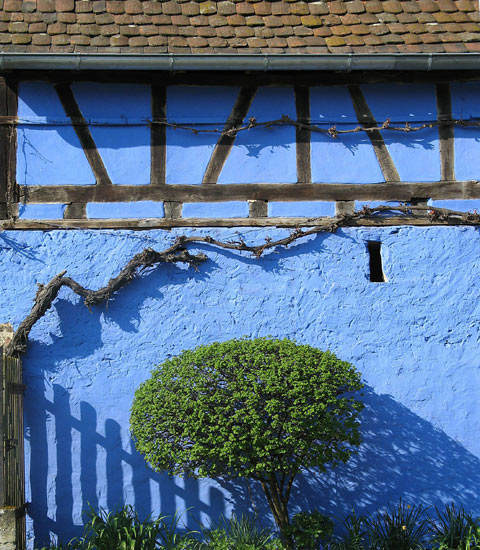 autor: paulo rodrigues
t&iacute;tulo: Bleu de Hanau