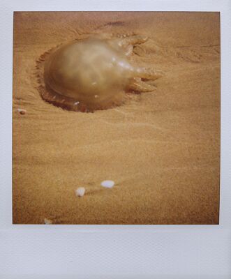 author : Sofia Quintas                    title: #2