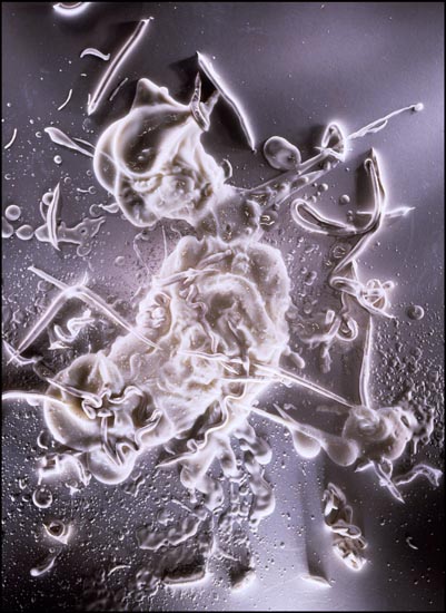 autor: Jeremy Webb
t&iacute;tulo: white cream splatter