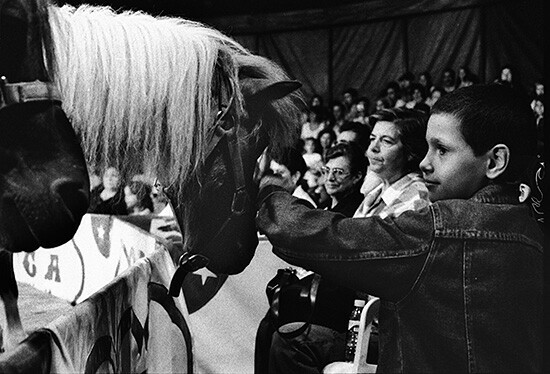 author: paulo rodrigues