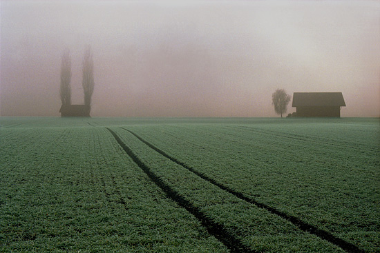 autor: paulo rodrigues
t&iacute;tulo: Two lines to nowhere