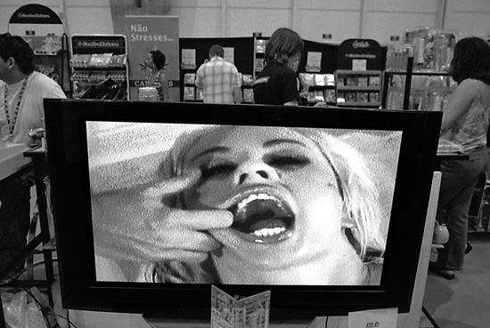 auteur: Manuel Luís Cochofel