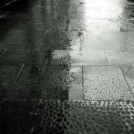 autor: paulo rodrigues
t&iacute;tulo: winter is cold and so is the world