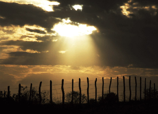 autor: paulo rodrigues
t&iacute;tulo: Amanhecer