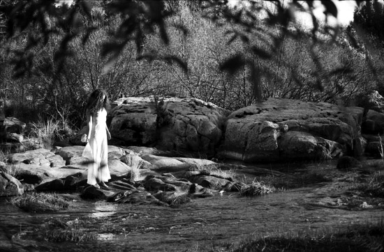 autor : nelson d