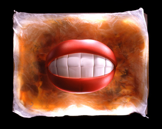 auteur : Jeremy Webb                    titre: big lips