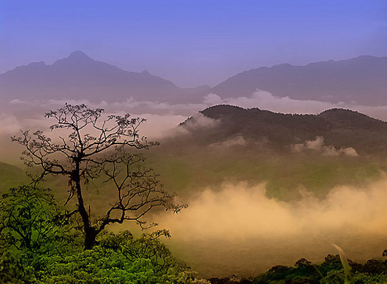 author : paulo rodrigues                    title: Serra da Graciosa