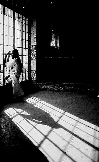 author : José Silva Pinto                    title: Momentos...