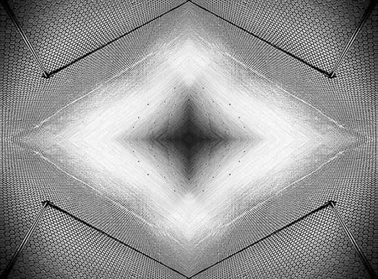 author: paulo rodrigues
title: Rainier